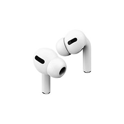 Earphones